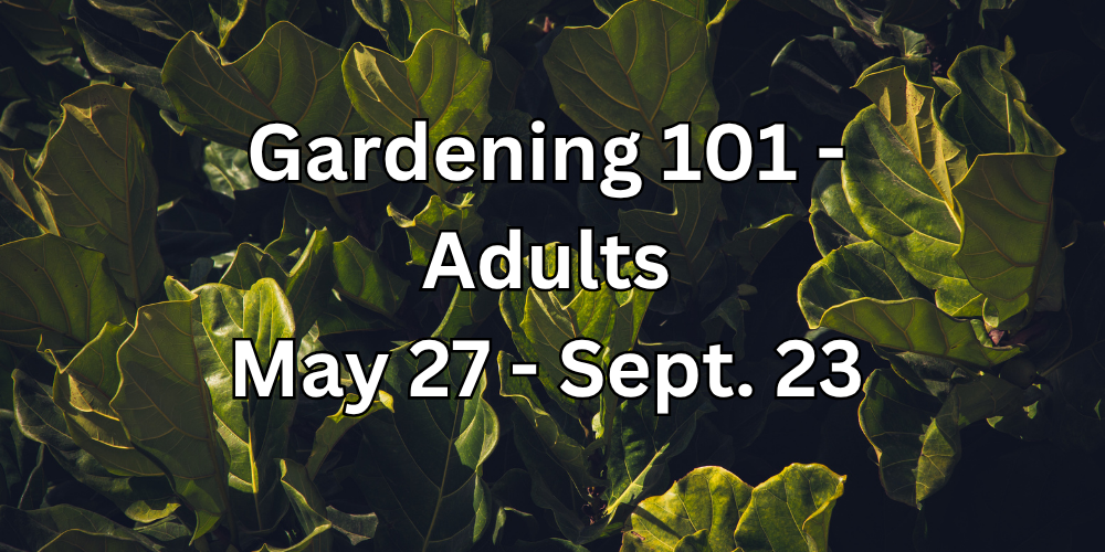 Gardening 101