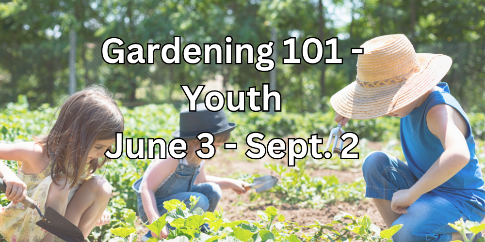 youth gardening