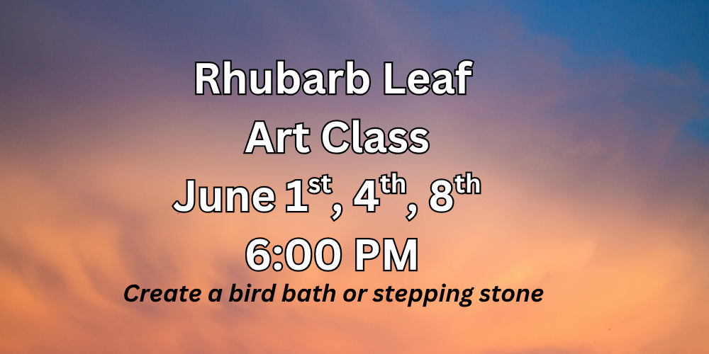 Birdbath Class