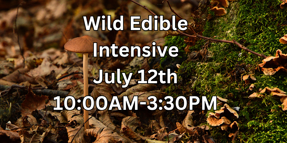 Wild Edible