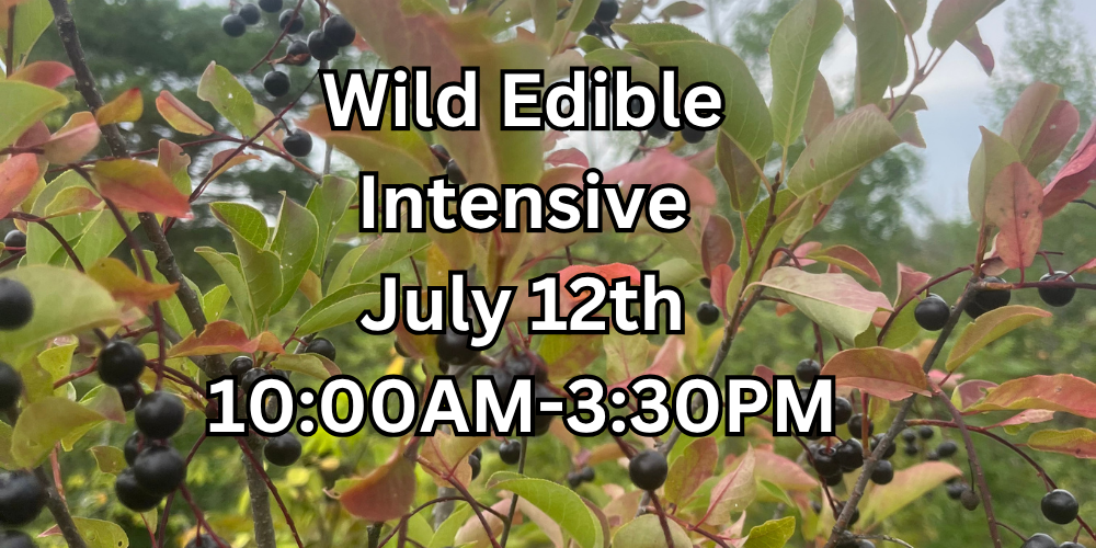 Wild Edible