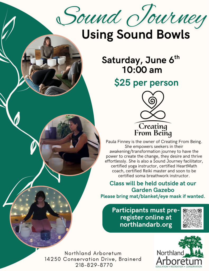Sound Bowls
